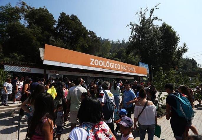 [VIDEO] ¿Cómo se realizó la evacuación de zoológico durante el incendio?