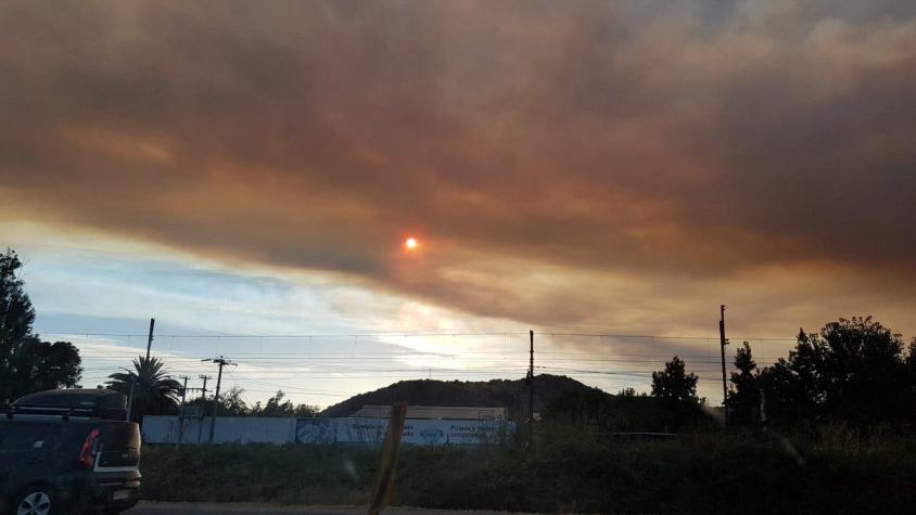 Onemi declara alerta amarilla para Pencahue por incendio forestal