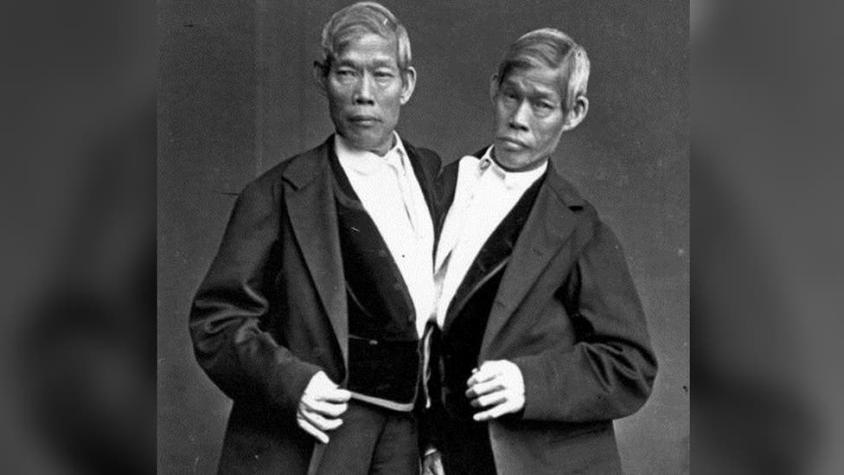 La historia de los hermanos siameses "originales" que se convirtieron en propietarios de esclavos