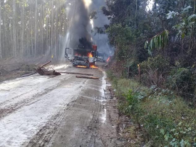 Región del Biobío: Ataque incendiario destruye siete vehículos en predio forestal de Contulmo