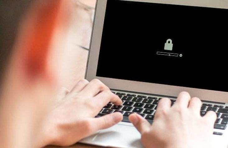 Internet segura: El sencillo buscador que te ayudará a saber si tu contraseña ha sido vulnerada