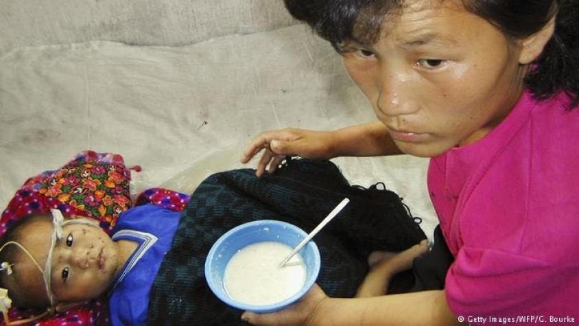 Once millones de personas necesitan ayuda alimentaria en Corea del Norte