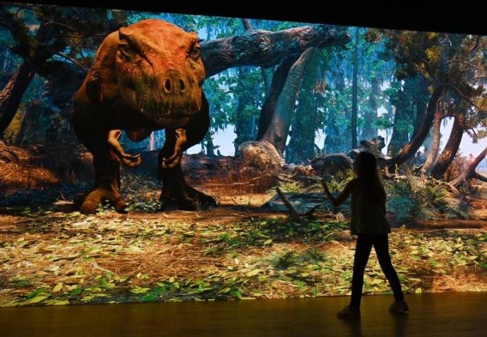 [FOTOS] Científicos recrean cómo habría sido un Tiranosaurio Rex bebé
