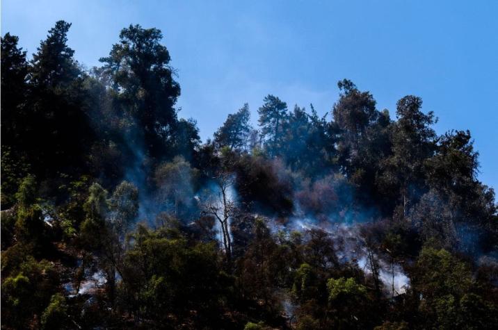 Onemi declara Alerta Roja para Traiguén por incendio forestal