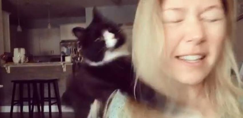[VIDEOS] ¿Chacal de la trompeta?: Gato ataca a su dueña cada vez que la escucha cantar