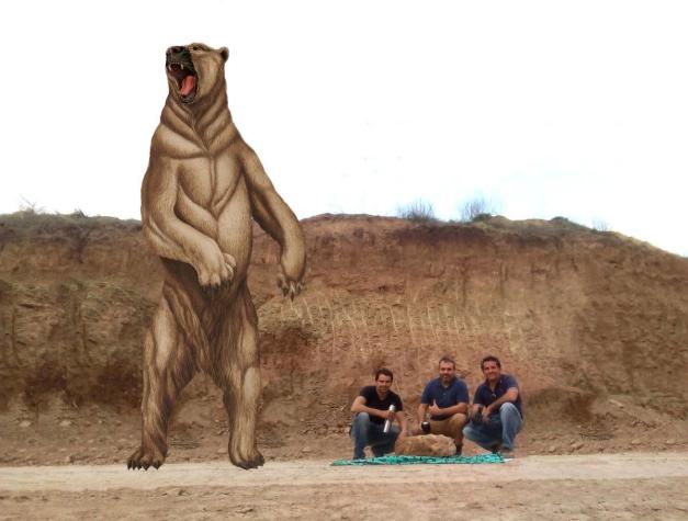 Hallan fósiles de un oso gigante que vivió hace 700 mil años en Argentina