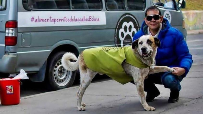 El boliviano que dejó su trabajo como exitoso hombre de negocios para alimentar a perros callejeros