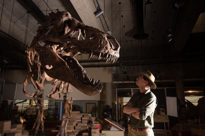 [FOTOS] Tyrannosaurus Rex hallado en Canadá en 1991 es el más grande del mundo