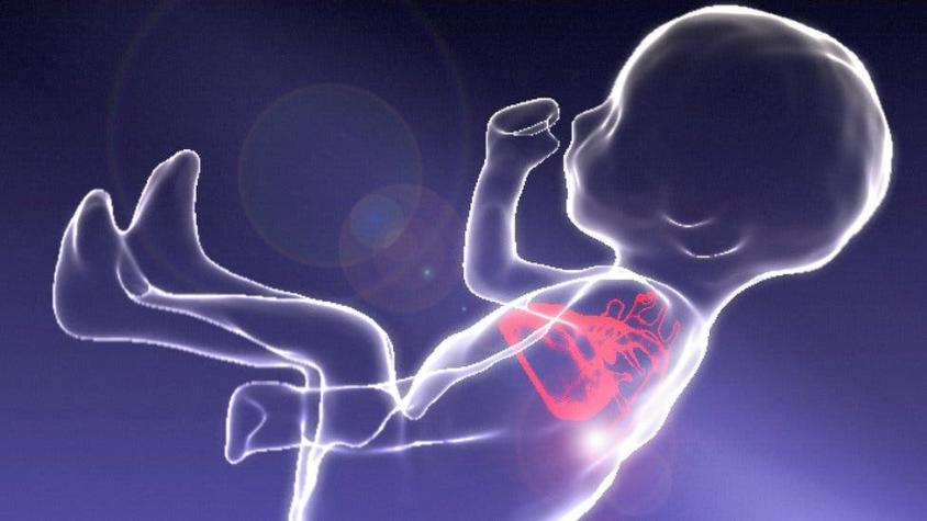 Las impresionantes imágenes de un feto que permiten diagnosticar mejor las cardiopatías