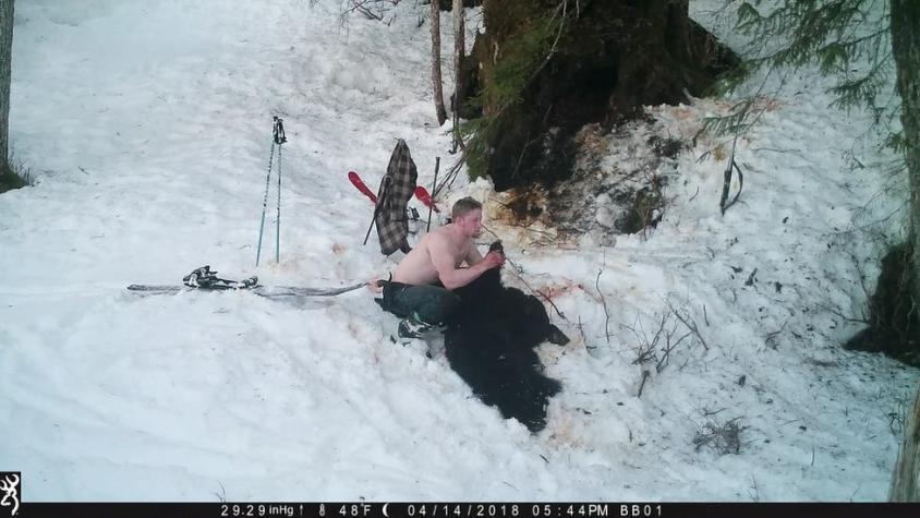 Caza furtiva de osos: las indignantes imágenes de dos hombres matando a una osa y sus crías