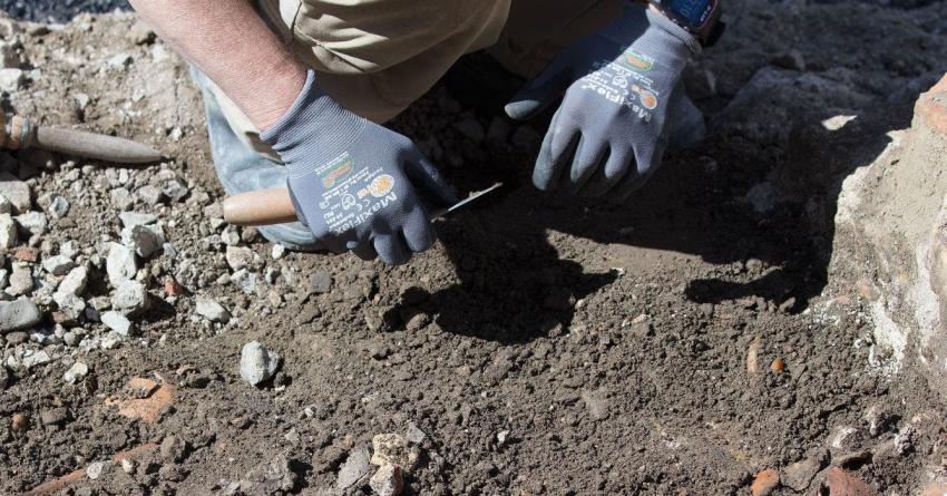 [FOTOS] Encuentran las primeras huellas de dinosaurio con marcas de piel