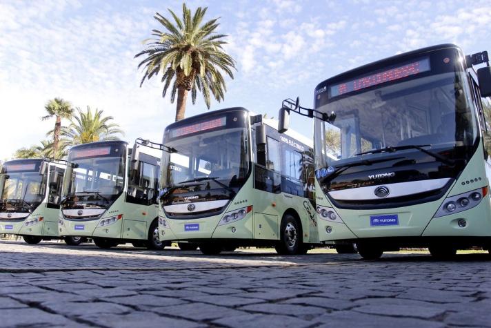 Este lunes debutarán los buses eléctricos gratuitos en Las Condes: conoce sus recorridos