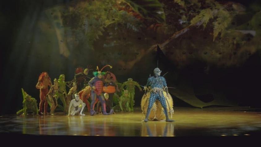 [VIDEO] "OVO": Conoce el espectáculo con que el Cirque Du Soleil regresa a Chile