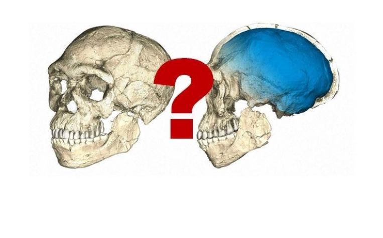 Homo Luzonensis: por qué se habla de una nueva especie humana (y cómo es)