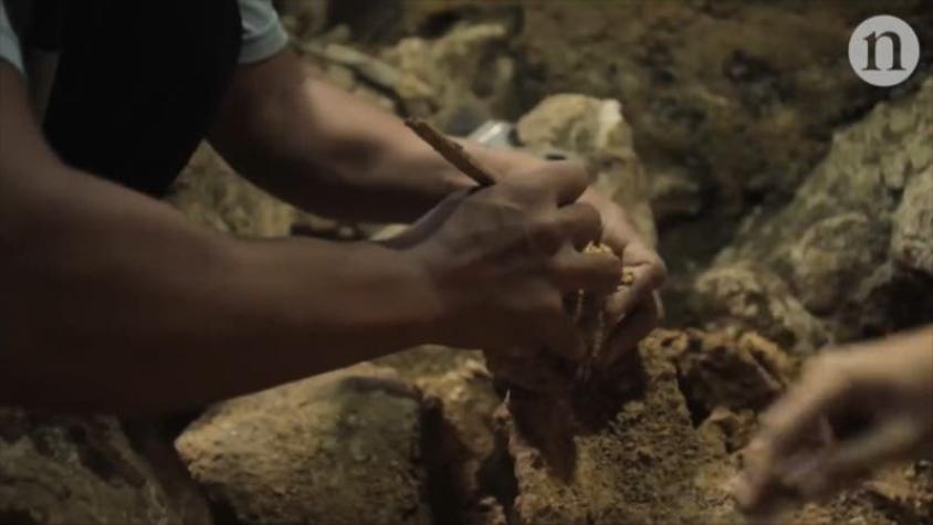 [VIDEO] Las preguntas que abre el hallazgo de restos de "nueva especie humana"