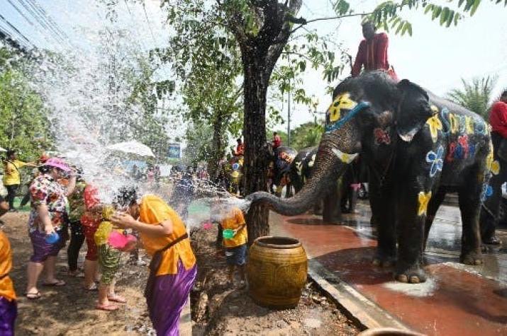 [FOTOS] Elefantes pintados protagonizan tradicional fiesta del agua en Tailandia