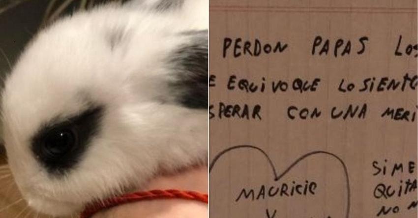 La tierna carta de disculpa de un niño a sus padres por comprar un conejo a escondidas