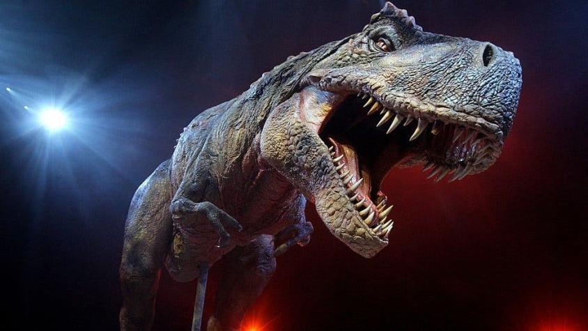 La subasta de un fósil de dinosaurio en eBay que causa indignación en la comunidad científica