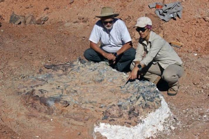 [FOTOS] Descubren cementerio de fósiles de 220 millones de años en Argentina