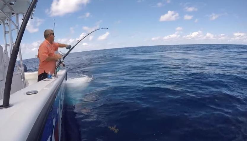 [VIDEO] Captan el momento exacto en que pescadores atrapan un pez de 343 kilos