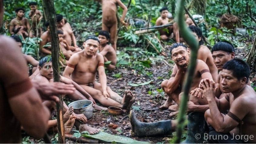 Por qué se multiplicó el número de tribus aisladas identificadas en Sudamérica (y sus amenazas)