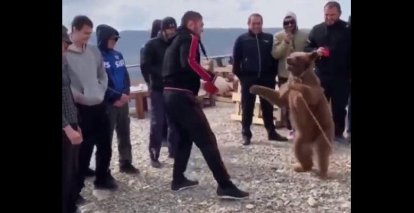[VIDEO] Polémica: Campeón de la UFC es acusado de maltratar a una cría de oso