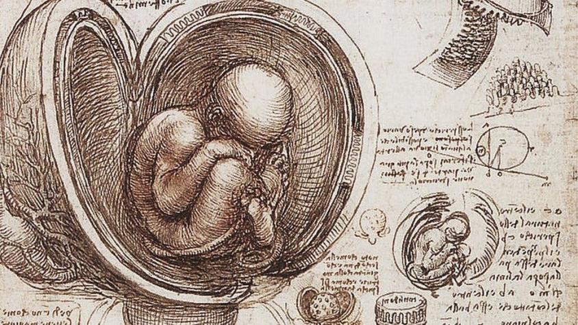 Cuatro ideas con las que Leonardo da Vinci se adelantó a su tiempo