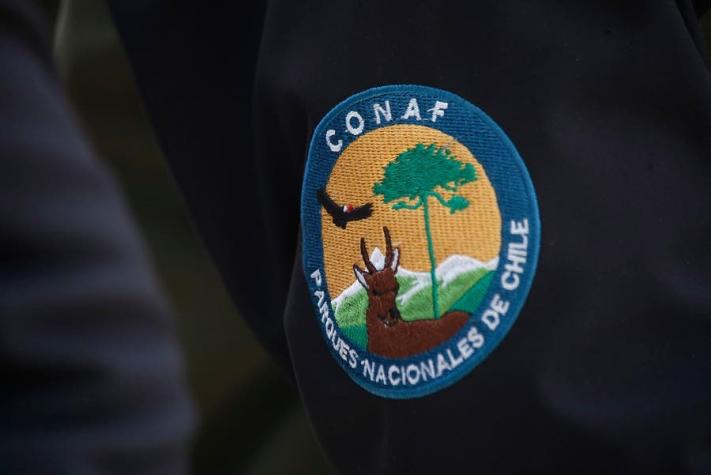 Pueden ganar hasta $1,3 millones: Conaf informa que faltan 1.500 guardaparques en Chile