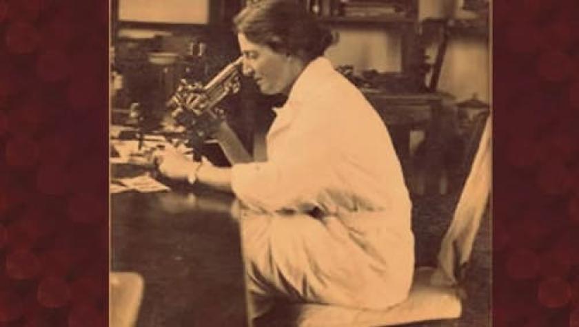 Google conmemora a Lucy Wills, hematóloga pionera en el análisis de la anemia durante el embarazo