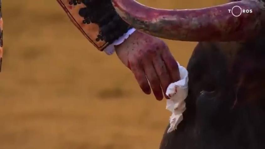 [VIDEO] Polémica por gesto de torero: Sacó un pañuelo para limpiar las lágrimas del toro