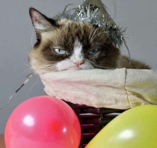 Grumpy Cat, la gata más famosa (y enojona) de internet murió el martes