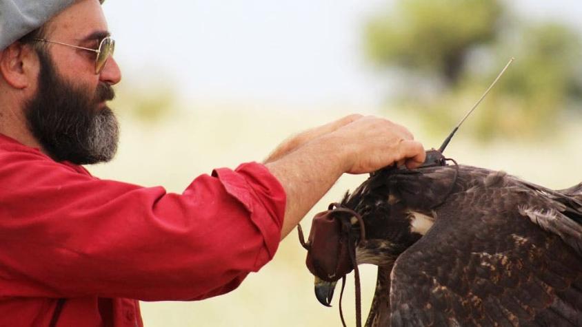 El argentino que recorre miles de kilómetros para proteger la misteriosa águila del Chaco