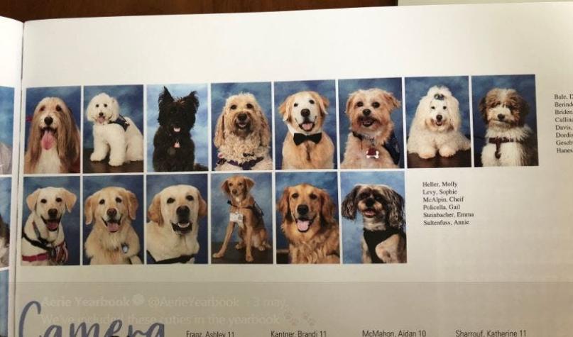 El conmovedor motivo porque un colegio incluyó en las fotografías de su anuario a perros