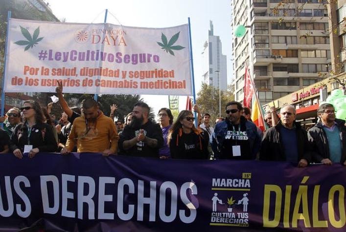[FOTOS] Miles de personas participaron de marcha para despenalizar autocultivo de cannabis