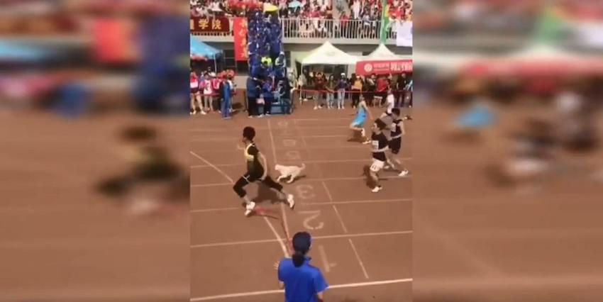 [VIDEO] Perro callejero se cuela en carrera de 100 metros planos y obtiene el tercer lugar