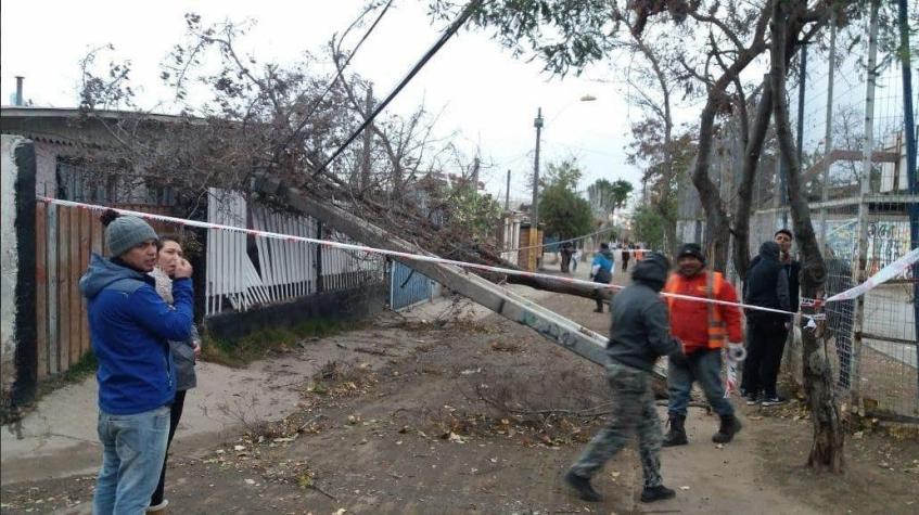 [VIDEOS] Fuertes vientos han generado caída de árboles, postes y cortes de luz en Santiago