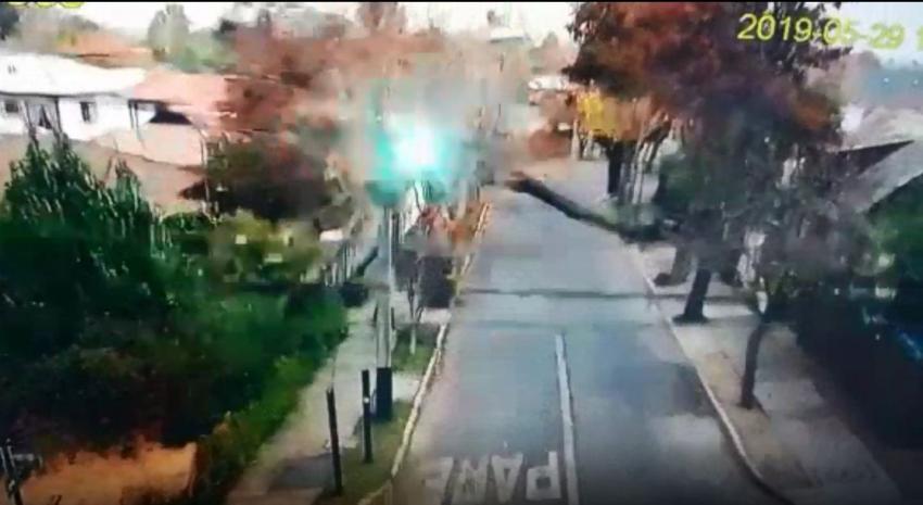 [VIDEO] Impactante caída de árbol sobre casa en La Reina producto de los fuertes vientos