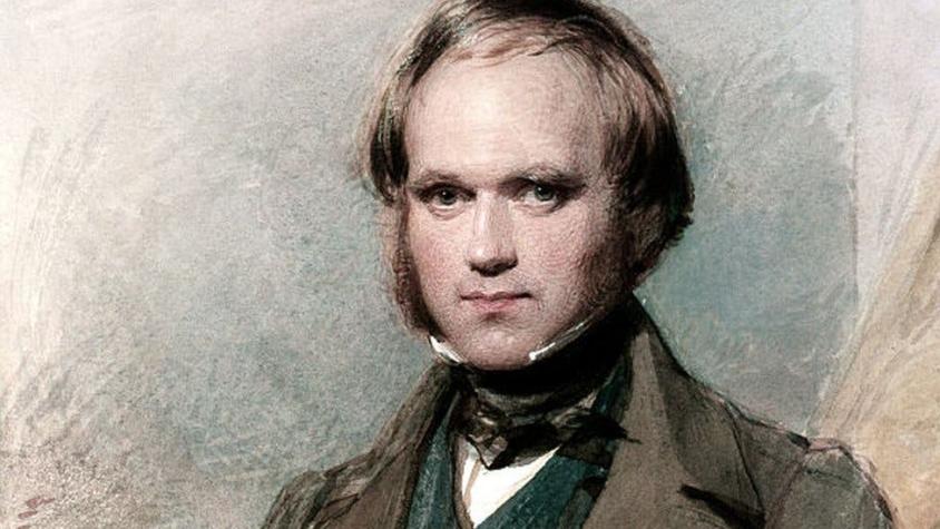 "El viaje del Beagle" de Darwin: 5 anécdotas poco conocidas de su recorrido por América del Sur