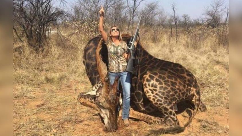 "Era deliciosa": Cazadora que mató una jirafa negra confesó que la comió y utilizó su piel