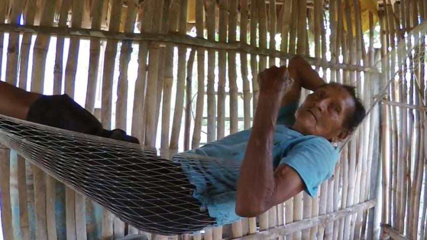"Su cultura y lengua morirán con él": la trágica vida del último indígena tinigua de Colombia