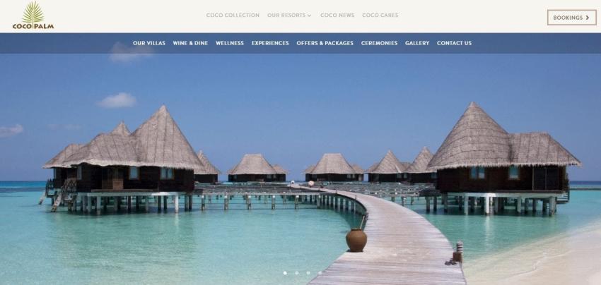 Resort de lujo en Maldivas busca a una persona que cuide a sus tortugas con todos los gastos pagados