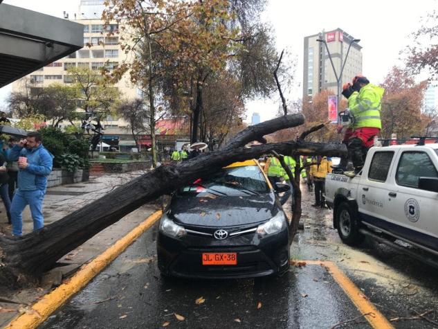 [VIDEO] Árbol cae sobre un taxi en Providencia