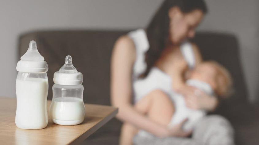 Cuál es el precio de un litro de leche materna y por qué Noruega lo cuenta en su PIB