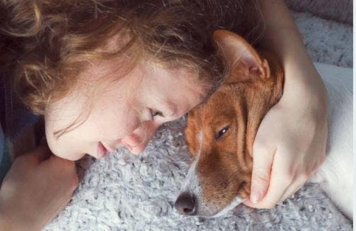 Advertencia de spoilers: Crean sitio web que te dice si un perrito muere en una película