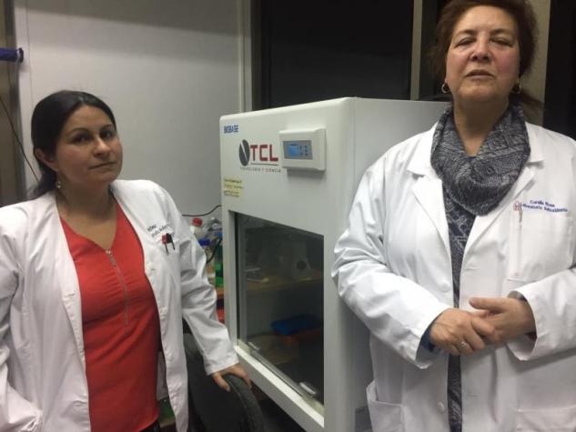 Científicos de la Universidad de Concepción descubren mecanismo clave para combatir el cáncer