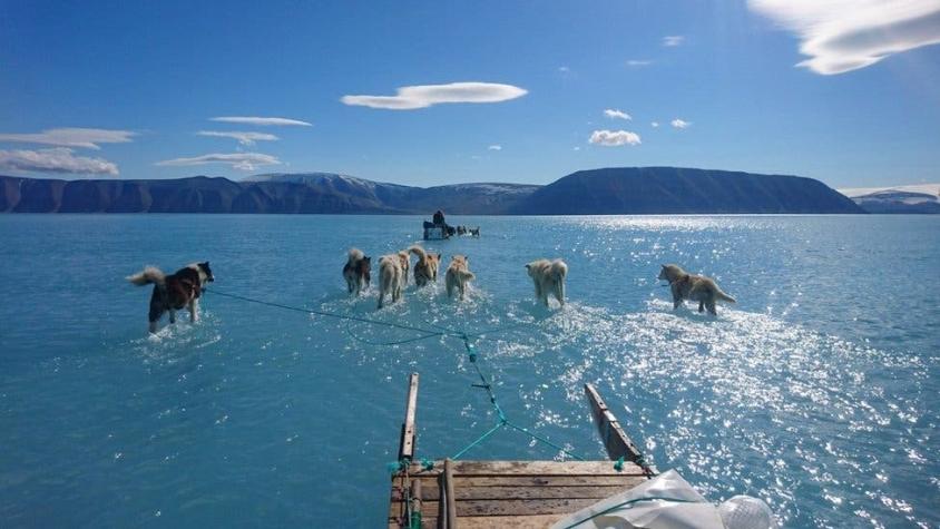 La imagen viral que muestra un "inusual" deshielo en Groenlandia (y que reaviva las preocupaciones)