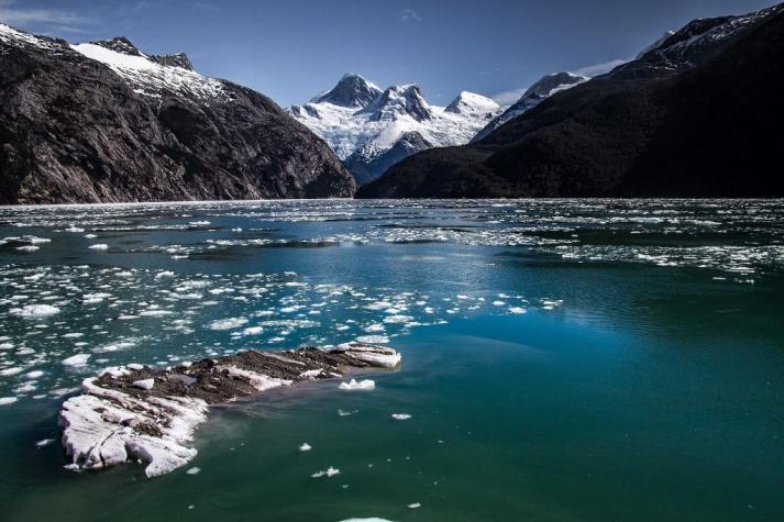 Estudio indica que retroceso de glaciares en Patagonia chilena reduce fitoplancton