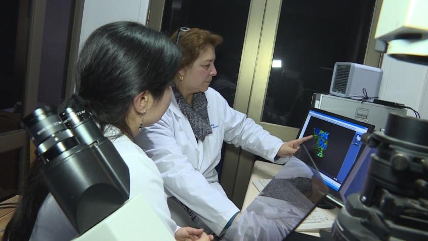 [VIDEO] Científicas chilenas encabezan equipo que descubrió importante avance para conocer el cáncer