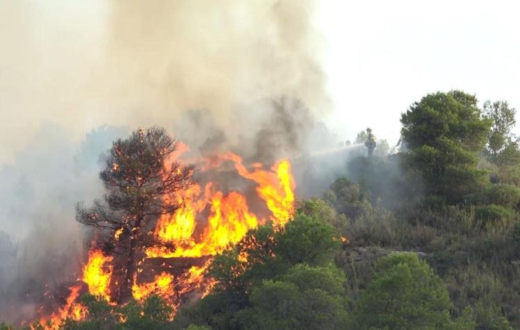 [FOTOS] Ola de calor: España en alerta máxima por incendio forestal descontrolado