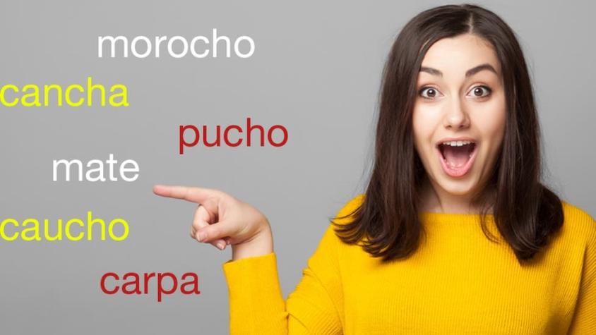 Cancha, pucho, carpa y otras palabras que quizá no sabías que provienen del quechua